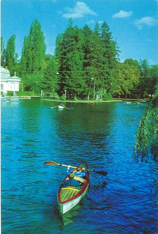 1324 - Cluj. Vedere din parcul municipiului